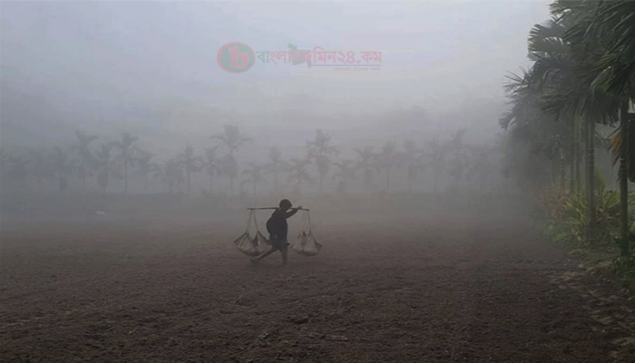 আগামী পাঁচ দিনে আবহাওয়ায় বড় কোনো পরিবর্তনের সম্ভাবনা নেই